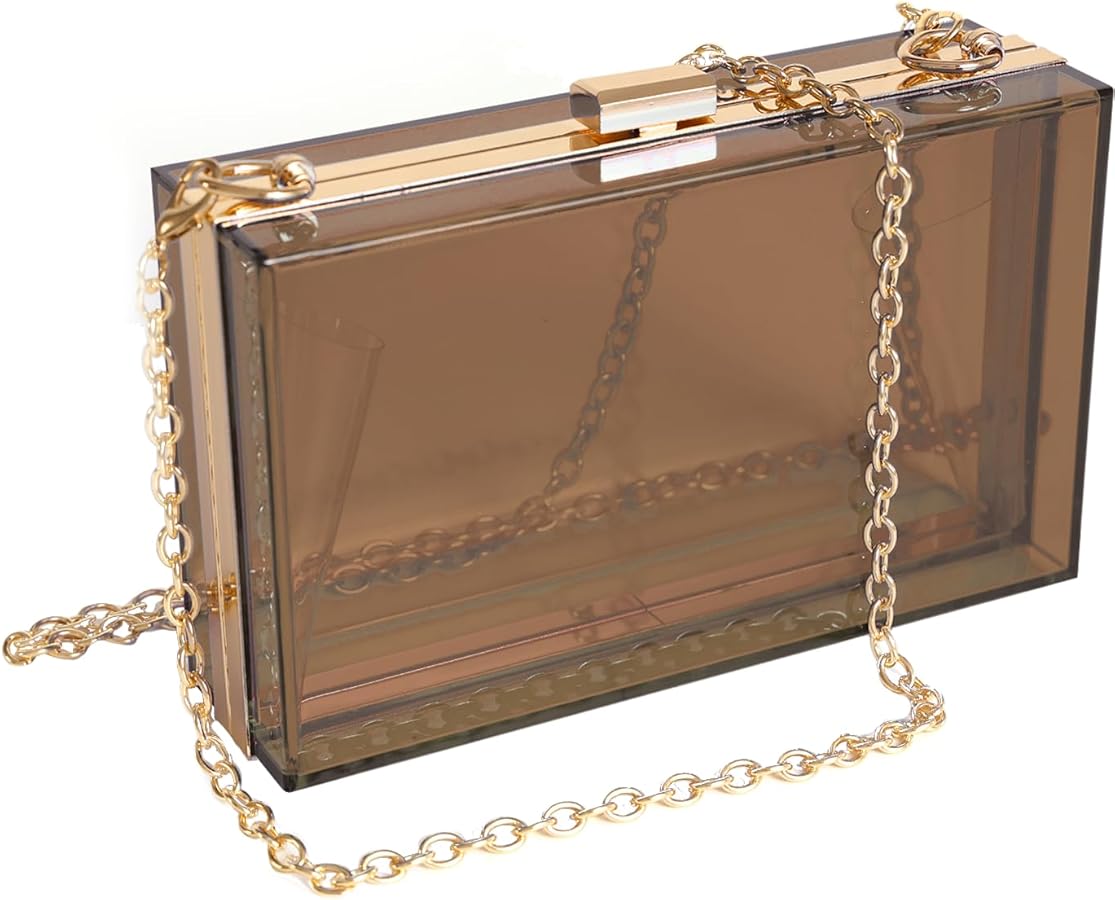Clear Acrylic Clutch Bag