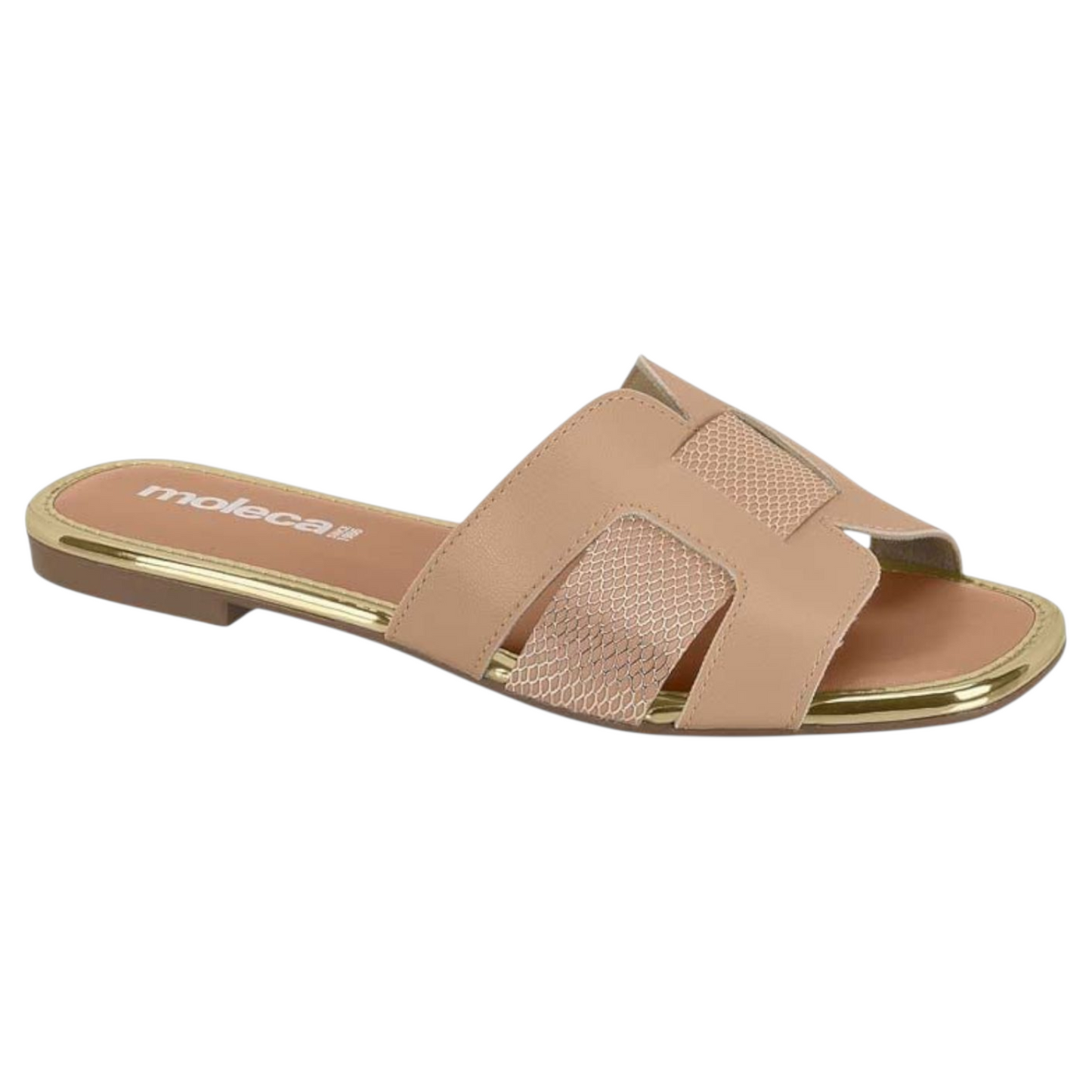 Moleca Turim Slides